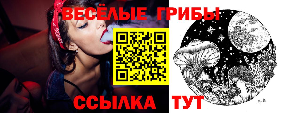 Лабинск  Псилоцибиновые грибы Psilocybe  Вход с VPN 